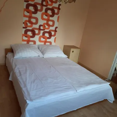公寓 Cozy Rose Apartment 霍穆托夫