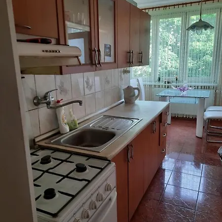 Cozy Rose Apartment